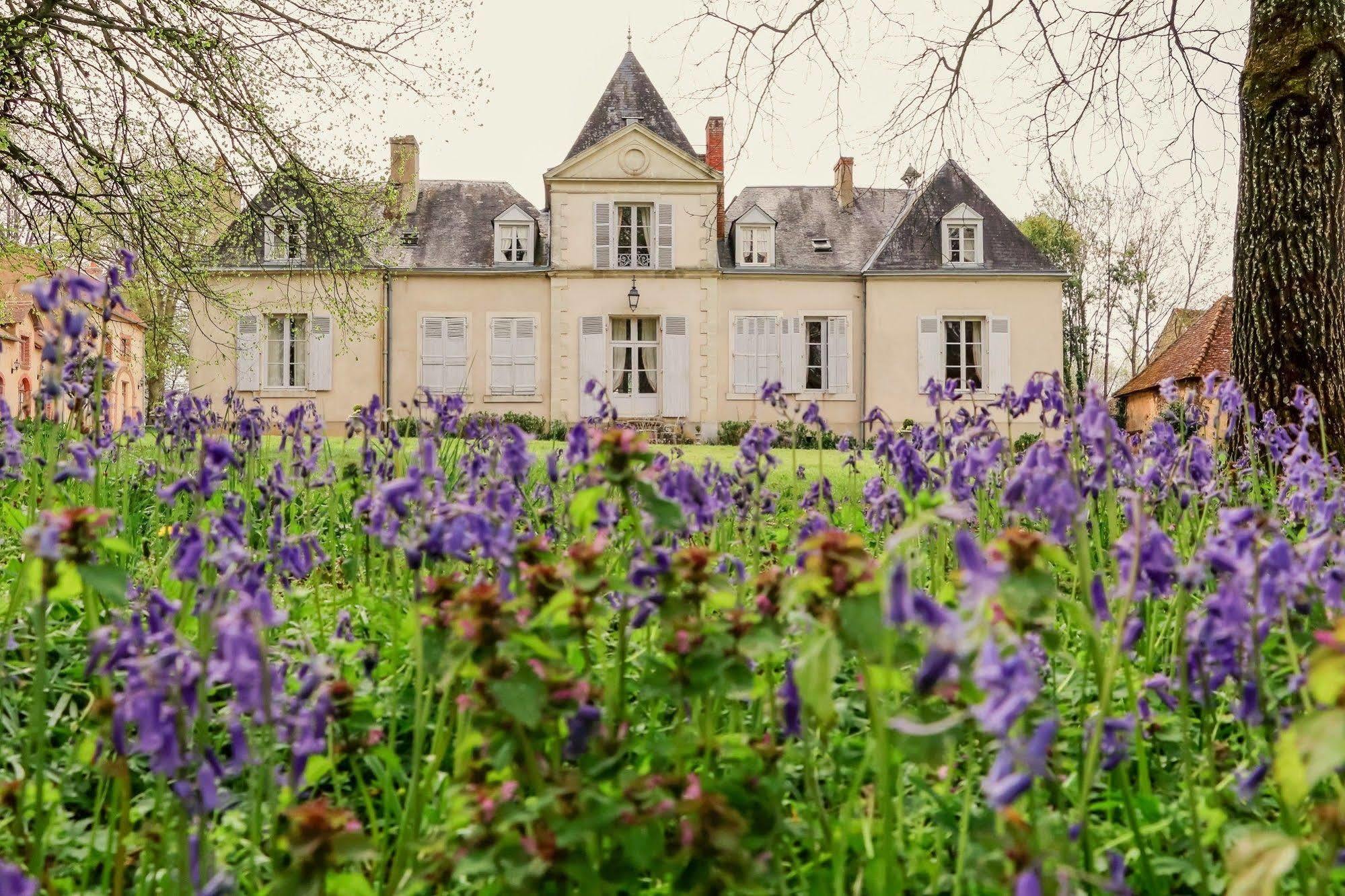 Domaine De Chatenay - Le Mans Saint-Saturnin  Exterior foto
